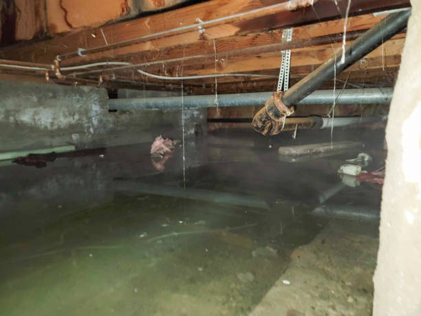 Best Commercial water damage restoration  in Marist College, NY