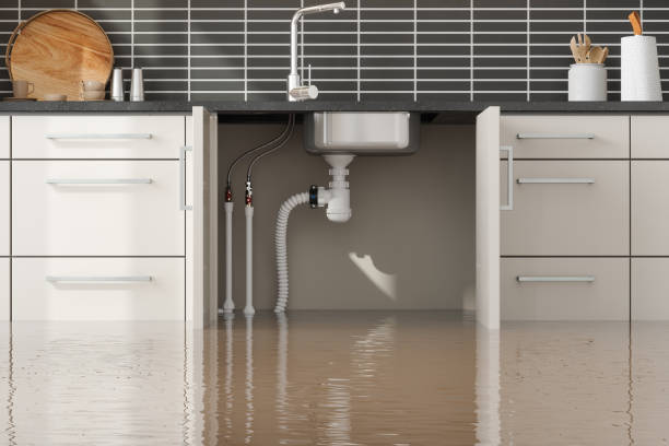Best Water damage mitigation services  in Marist College, NY
