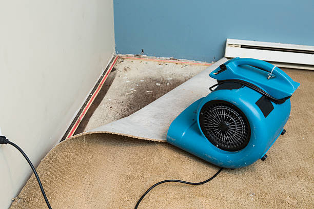 Best Fire Damage Restoration  in Marist College, NY